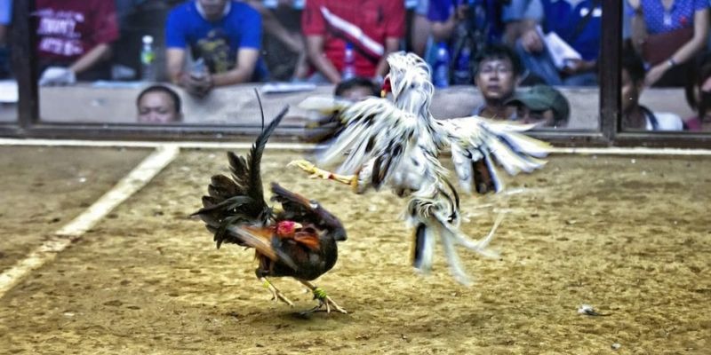 18win ﻿đăng nhập lô đề uy tín