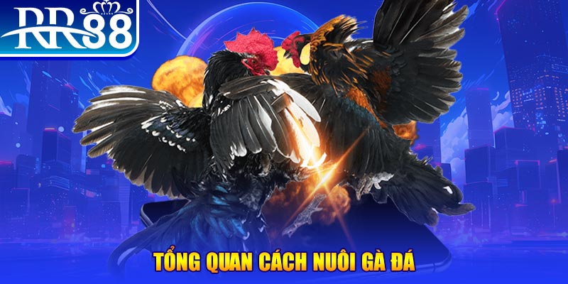 18win xổ số thứ ba