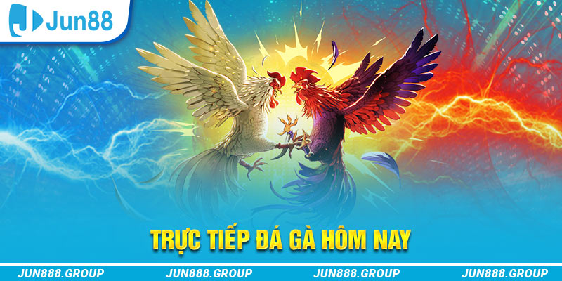 18win trực tiếp đá gà thomo