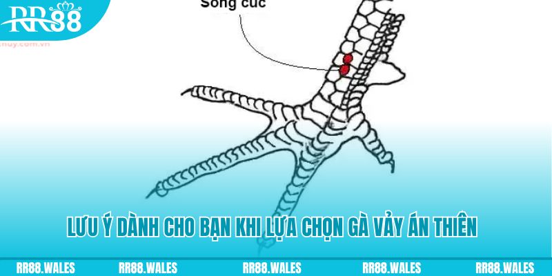 18win xổ số khánh hòa