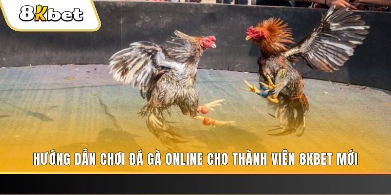 18win nổ hũ đổi thưởng . ai