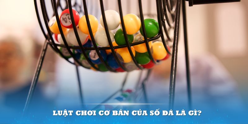 18win Đĩa màu ace
