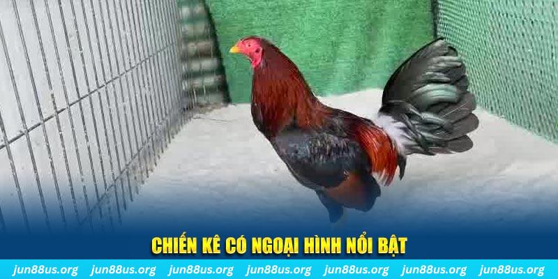 18win nhạc slot là gì